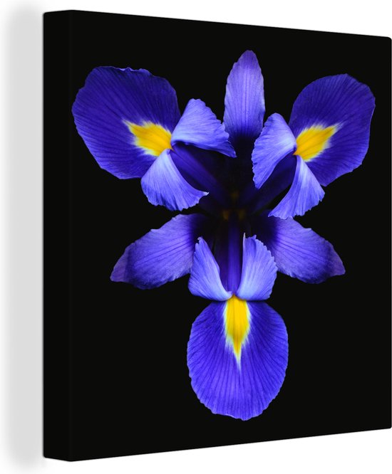 Canvas Schilderij Blauwe Iris close-up - 90x90 cm - Wanddecoratie