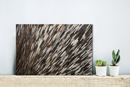 Tableau sur toile Épines en gros plan - 30x20 cm - Décoration murale