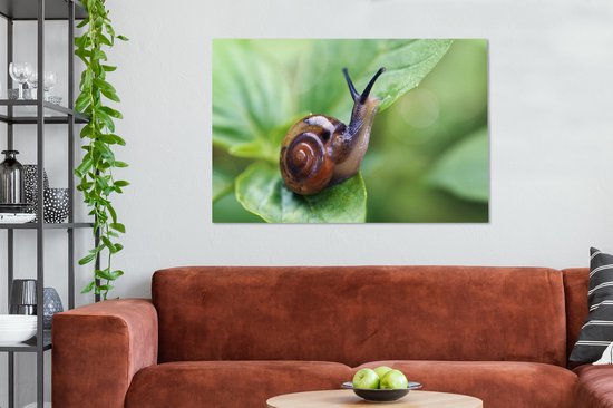 Tableau sur toile Escargot sur feuille - 120x80 cm - Décoration murale