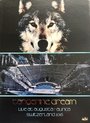 Tangerine Dream - Live At Augusta Raurica - Switzerland 2016 (4 DVD)