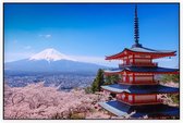 Chureito Pagoda en kersenbloesem in bloei bij Mount Fuji - Foto op Akoestisch paneel - 90 x 60 cm