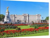 Gazon in bloei voor het Buckingham Palace in Londen - Foto op Canvas - 90 x 60 cm