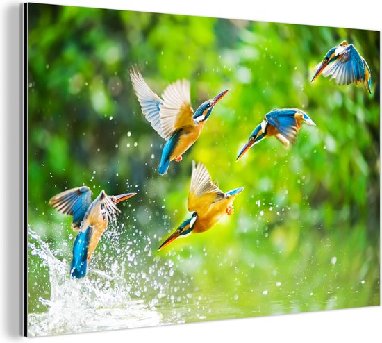 Wanddecoratie Metaal - Aluminium Schilderij Industrieel - Vogels - IJsvogel - Dieren - Water - 60x40 cm - Dibond - Foto op aluminium - Industriële muurdecoratie - Voor de woonkamer/slaapkamer