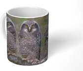 Mok - Drie sperweruilen op een tak - 350 ML - Beker