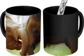 Magische Mok - Foto op Warmte Mokken - Koffiemok - Olifanten - Dieren - Slurf - Magic Mok - Beker - 350 ML - Theemok