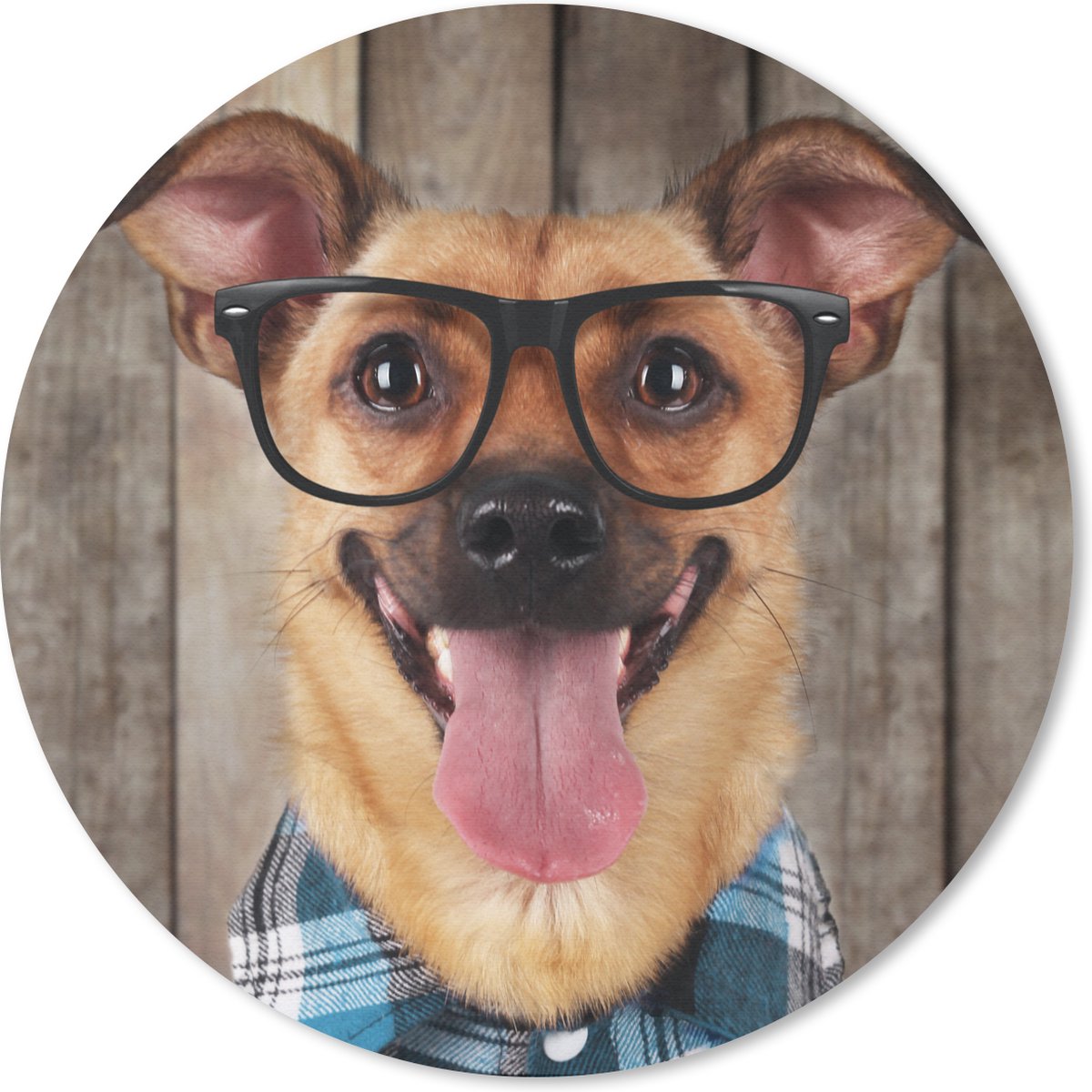 Muismat rond 50x50 cm - Mousepad Hond - Bril - Blouse - Hipster - Ronde muismatten