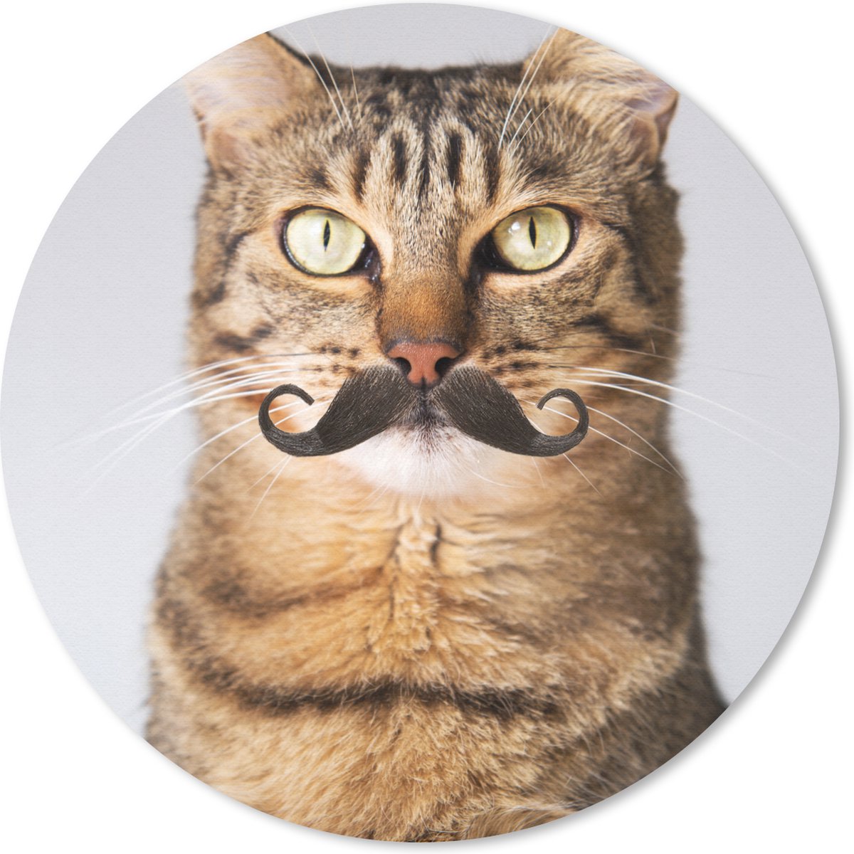 Muismat rond 40x40 cm - Mousepad Kat - Snor - Hipster - Ronde muismatten