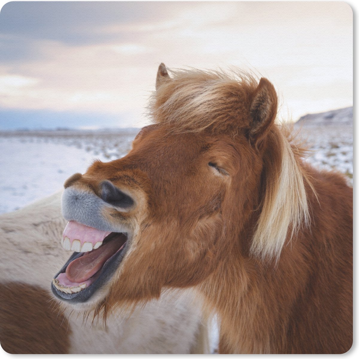 Muismat 20x20 cm - Mousepad Paard - Strand - Bruin - Muismatten