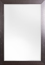 Moderne Spiegel 72x132 cm RVS - Anna