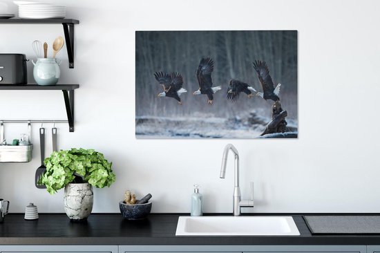 Aigle se lève à 90x60 cm - Tirage photo sur toile (Décoration murale salon / chambre)