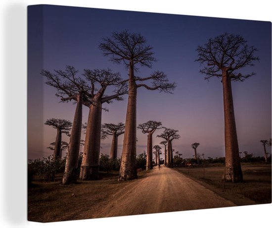 Canvas schilderij 180x120 cm - Wanddecoratie Laan van baobab bomen in Madagaskar - Muurdecoratie woonkamer - Slaapkamer decoratie - Kamer accessoires - Schilderijen