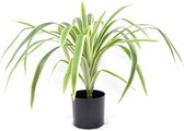 Dracaena Kunstplant 60 cm | Dracaena Marginata Kunstplant | Kunstplanten voor Binnen | Drakenbloedboom Kunstplant