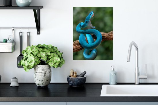 Affiche Serpent bleu vif à gueule ouverte - 30x40 cm
