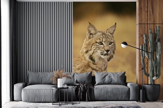 Papier peint - Papier peint photo Lynx - Marron - Herbe - Largeur 160 cm x hauteur 240 cm