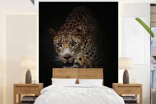 Papier peint photo peint photo vinyle - Léopard curieux sur fond noir largeur 190 cm x hauteur 260 cm - Tirage photo sur papier peint (disponible en 7 tailles)