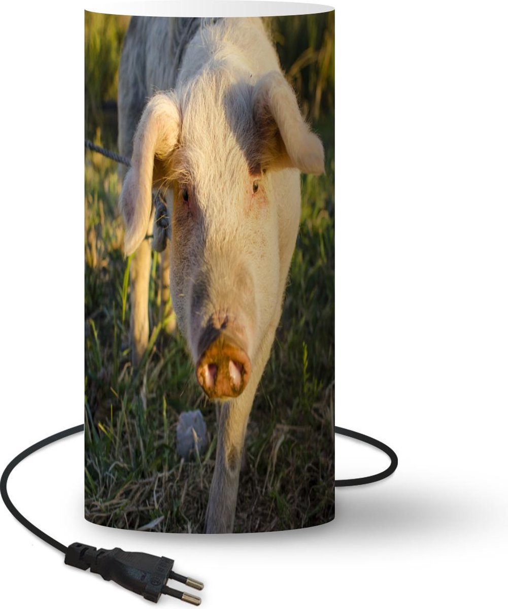 Lamp - Nachtlampje - Tafellamp slaapkamer - Wild - Varken - Zonsondergang - 33 cm hoog - Ø15.9 cm - Inclusief LED lamp