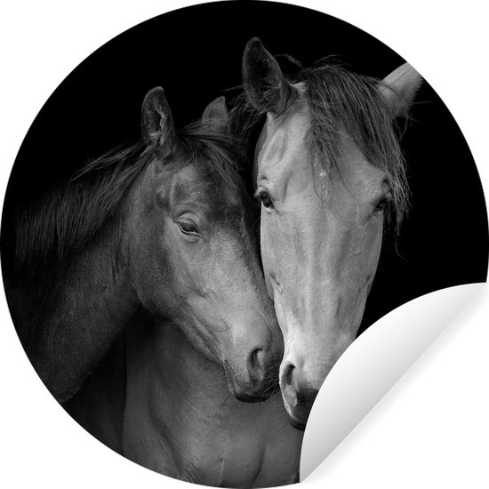 WallCircle - Muurstickers - Behangcirkel - Knuffelende paarden - zwart wit - ⌀ 120 cm - Muurcirkel - Zelfklevend - Ronde Behangsticker XXL