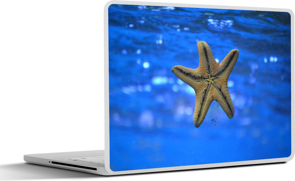 Afbeelding van product SleevesAndCases  Laptop sticker - 10.1 inch - Dieren - Zee - Zeester