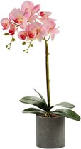 Ibergarden Kunstplant Orchidee 51 Cm Lichtroze/grijs