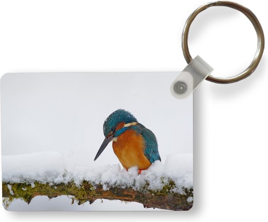 IJsvogel sleutelhanger 