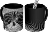 Magische Mok - Foto op Warmte Mok - Twee zebra's - 350 ML
