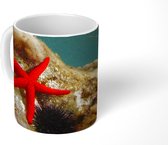 Mok - Zeester - Rood - Stenen - 350 ML - Beker