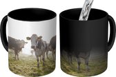 Magische Mok - Foto op Warmte Mokken - Koffiemok - Koeien - Licht - Gras - Dieren - Magic Mok - Beker - 350 ML - Theemok