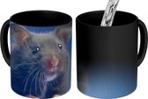 Magische Mok - Foto op Warmte Mokken - Koffiemok - Donkergrijze hamster blauwe achtergrond - Magic Mok - Beker - 350 ML - Theemok