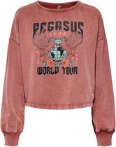 Jacqueline de Yong Trui Jdyamy Life L/s Rock Sweat Jrs 15241531 Brandy Brown/pegasus Dames Maat - XL