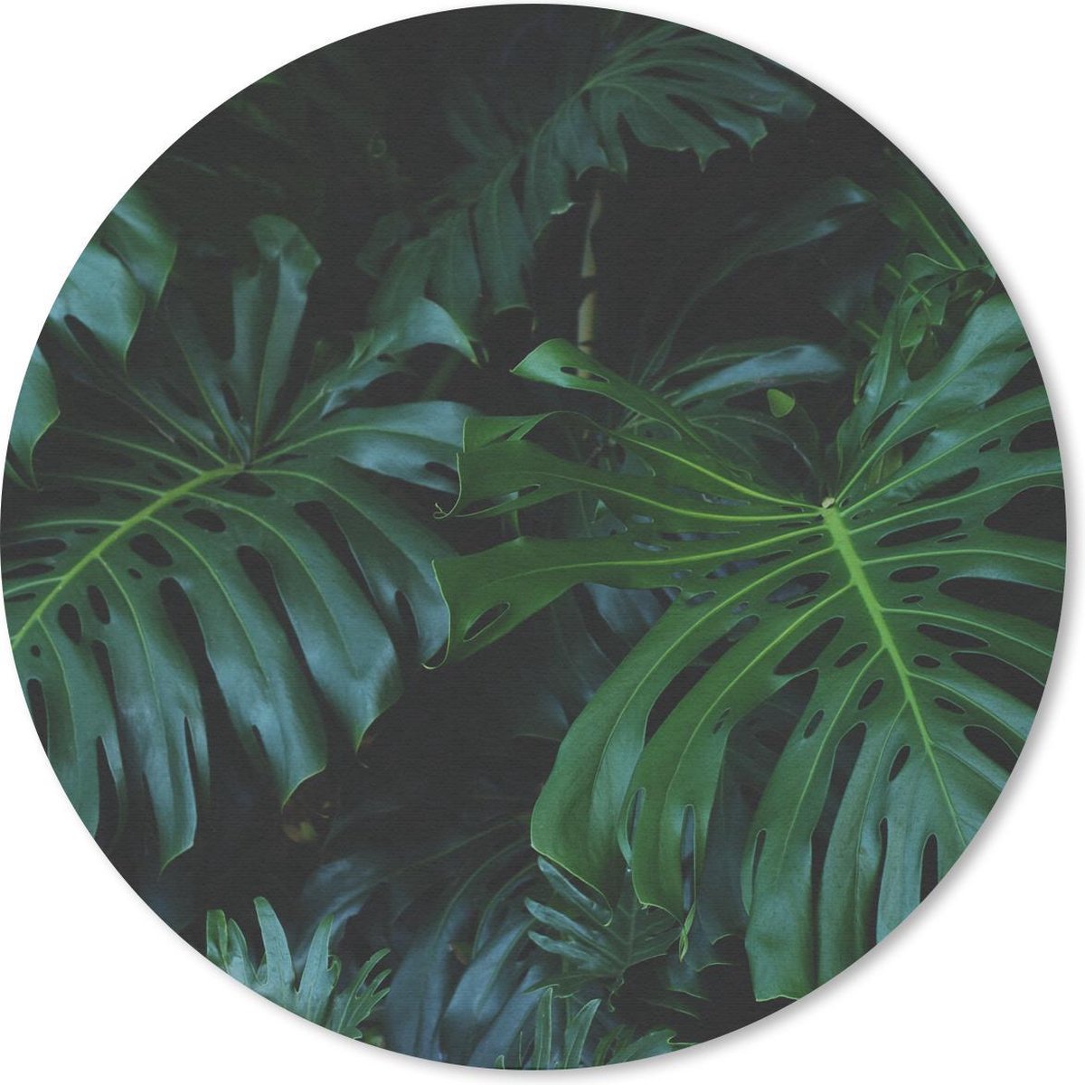 Muismat rond 50x50 cm - Mousepad Planten - Jungle - Bladeren - Ronde muismatten
