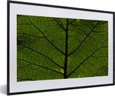 Photo encadrée - Cadre photo feuille veine noir avec passe-partout blanc 40x60 60x40 cm - Affiche encadrée (Décoration murale salon / chambre)