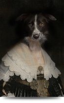 Maison de France - Voor acrylglas Hondenportret bordercollie dame - plexiglas - 60 x 90 cm