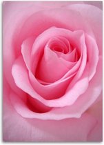 Trend24 - Canvas Schilderij - Roze Rozenblaadjes - Schilderijen - Bloemen - 60x90x2 cm - Roze
