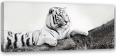 Trend24 - Canvas Schilderij - Kijken Naar Tiger - Schilderijen - Dieren - 90x30x2 cm - Zwart