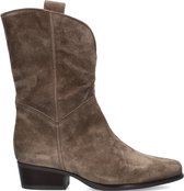 Gabor 672.1 Hoge laarzen - Dames - Taupe - Maat 37