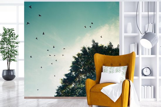Papier Peint - Papier Papier peint photo Forêt - Arbre - Vogel - Largeur 300 cm x Hauteur 300 cm