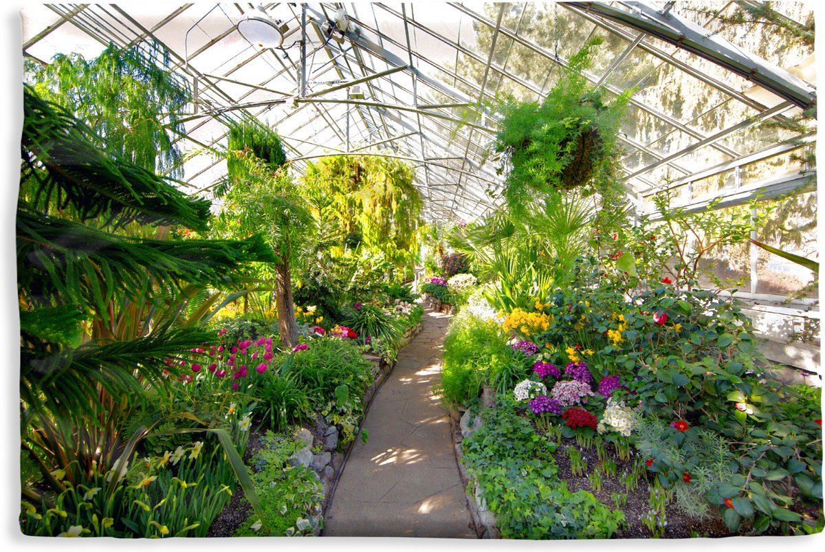 PT katoen vogels/bloemen | Van Schie Raamdecoratie en Stoffen