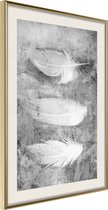 Poster Delicate Feathers 40x60