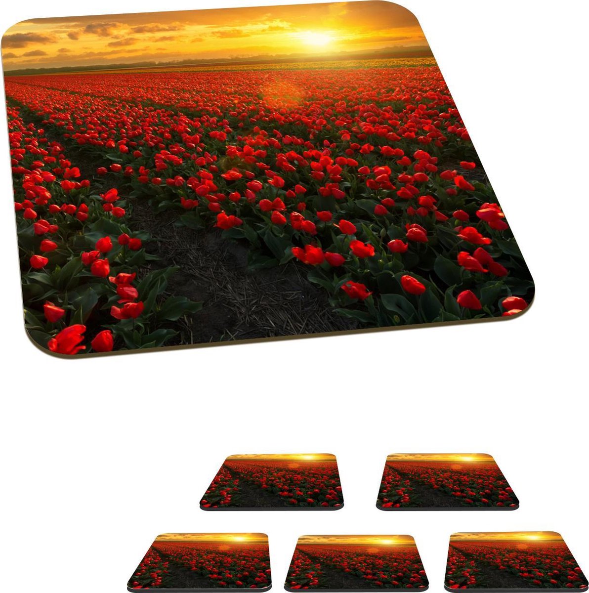 Onderzetters voor glazen - Nederland - Tulp - Veld - 10x10 cm - Glasonderzetters - 6 stuks