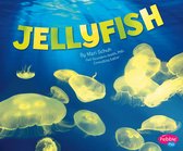 Sea Life - Jellyfish