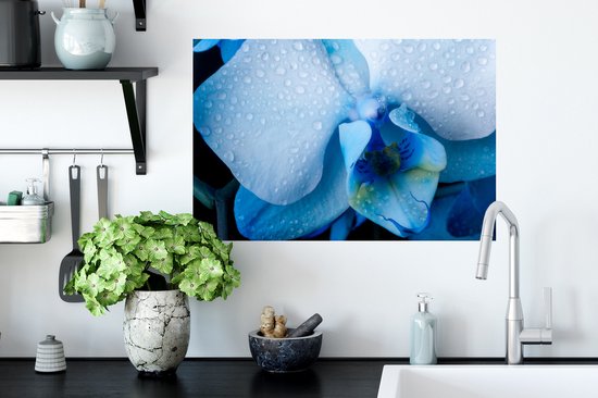 Muurstickers - Sticker Folie - Close-up van een blauwe orchidee met lichtgekleurde bladeren - 60x40 cm - Plakfolie - Muurstickers Kinderkamer - Zelfklevend Behang - Zelfklevend behangpapier - Stickerfolie