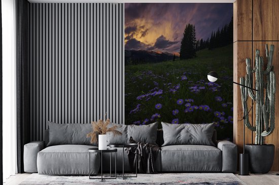 Champ de fleurs dans les montagnes Rocky au crépuscule 170x260 cm