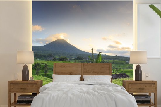 Papier peint photo peint vinyle - Champs de riz et Volcans en Indonésie largeur 240 cm x hauteur 240 cm - Tirage photo sur papier peint (disponible en 7 tailles)