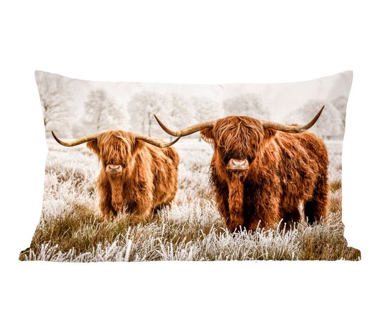 Sierkussens - Kussentjes Woonkamer - 50x30 cm - Schotse hooglander - Koe - Natuur - Winter