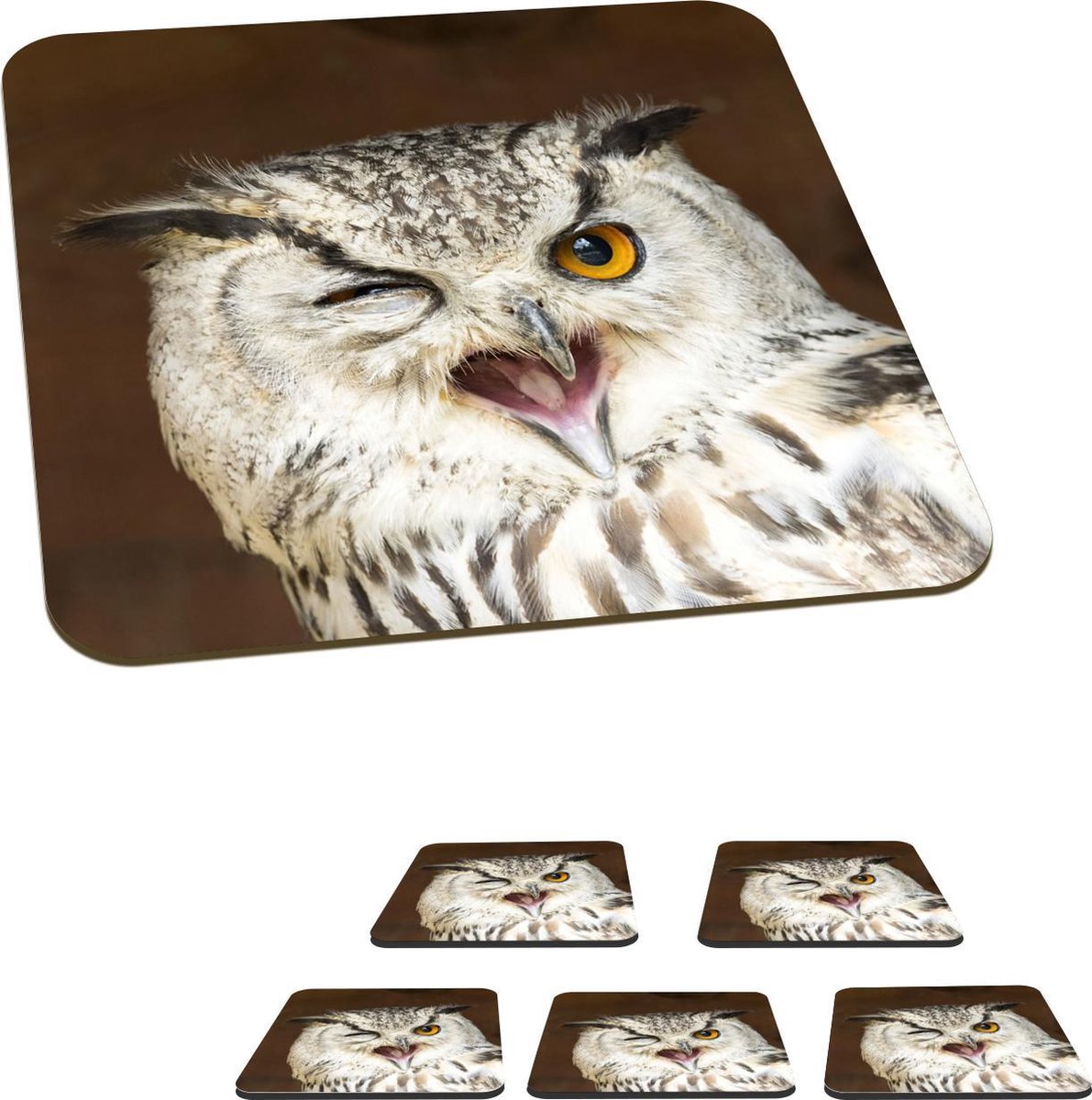 Onderzetters voor glazen - Uil - Knipoog - Vogel - 10x10 cm - Glasonderzetters - 6 stuks