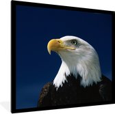 Fotolijst incl. Poster - Een wegkijkende Amerikaanse zeearend in een blauwe lucht - 40x40 cm - Posterlijst