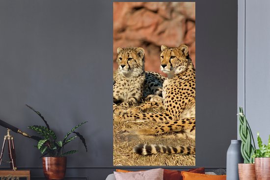 Stickers Stickers muraux - Mère Cheetah et petits - 80x160 cm - Film adhésif