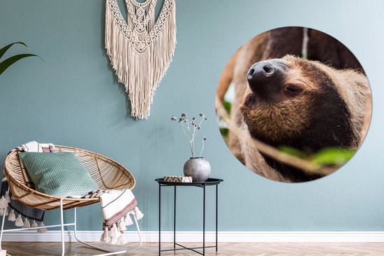 WallCircle - Wall Circle - Wall Circle Indoor - A Sloth Up Close Hanging Upside Down - 140x140 cm - Décoration murale - Peintures Ronds