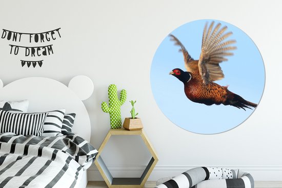 WallCircle - Wall Circle - Wall Circle Indoor - Faisan - Ailes - Vogel - 140x140 cm - Décoration murale - Peintures Ronds