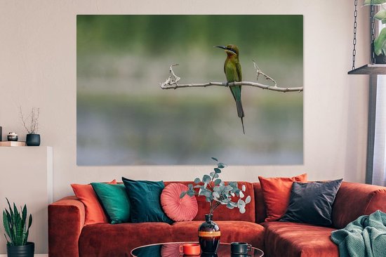 Tableau sur toile Le guêpier nain est assis sur une branche - 150x100 cm - Décoration murale